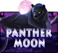 Panthermoon - SLOTXO