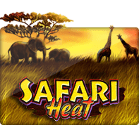 Safari Heat - SLOTXO