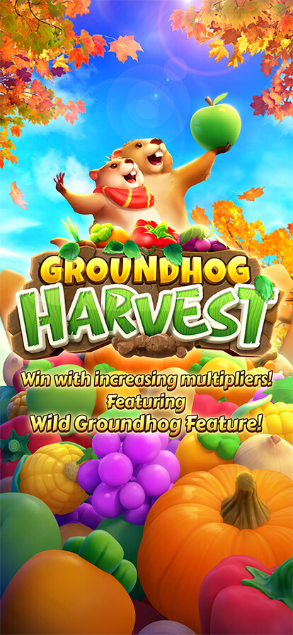 GROUNDHOG HARVEST PG SLOT SLOTXO-FUN ฟรีเครดิต