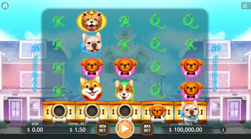 Who Let the Dogs Out KA GAMING slotxo-fun ฝาก ถอน