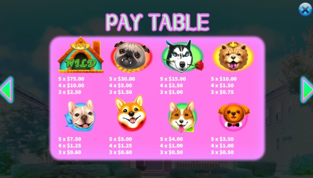 Who Let the Dogs Out KA GAMING slotxo-fun เว็บตรง